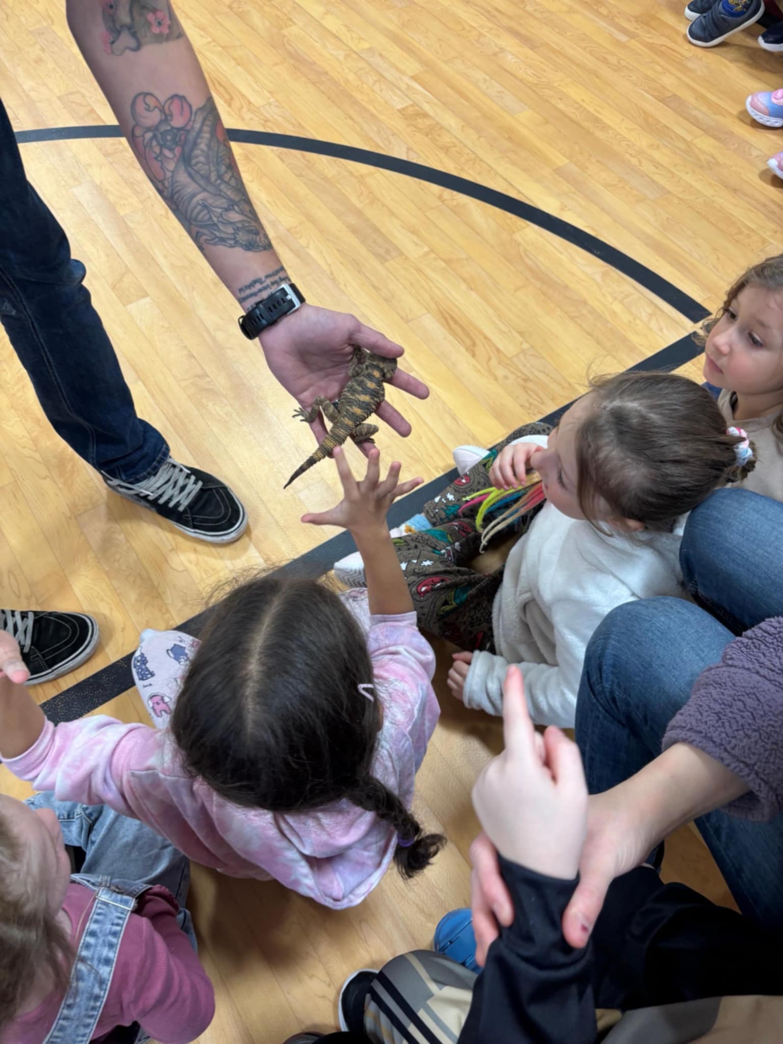 Crazy Reptiles Mauricie en tournée Crazy Reptiles Mauricie - Refuge animalier