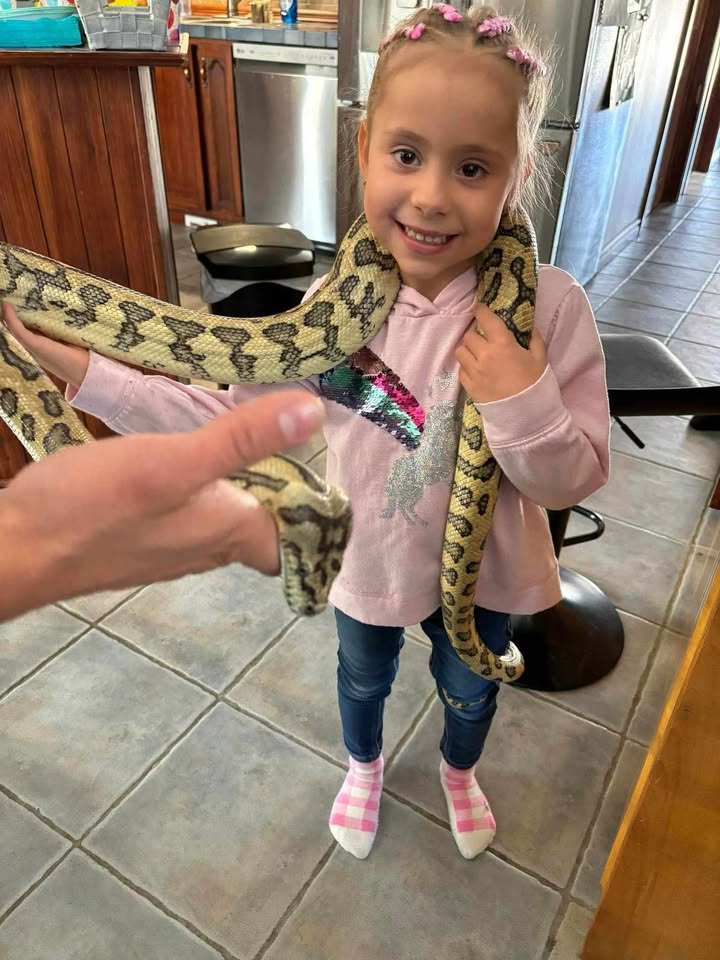 Crazy Reptiles Mauricie en tournée Crazy Reptiles Mauricie - Refuge animalier