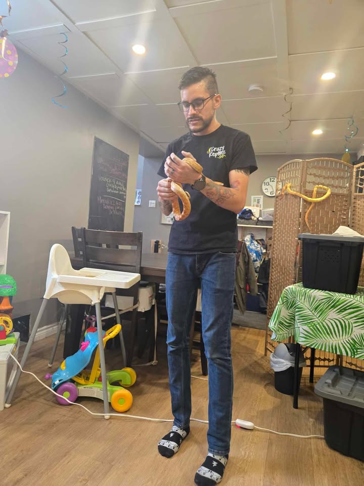 Crazy Reptiles Mauricie en tournée Crazy Reptiles Mauricie - Refuge animalier