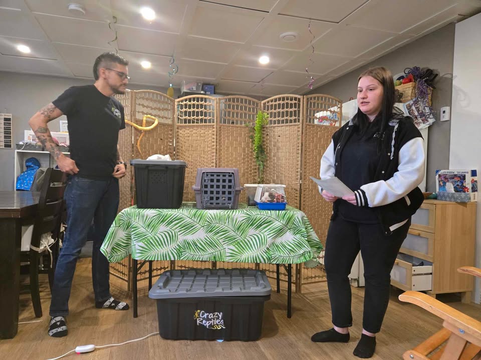Crazy Reptiles Mauricie en tournée Crazy Reptiles Mauricie - Refuge animalier