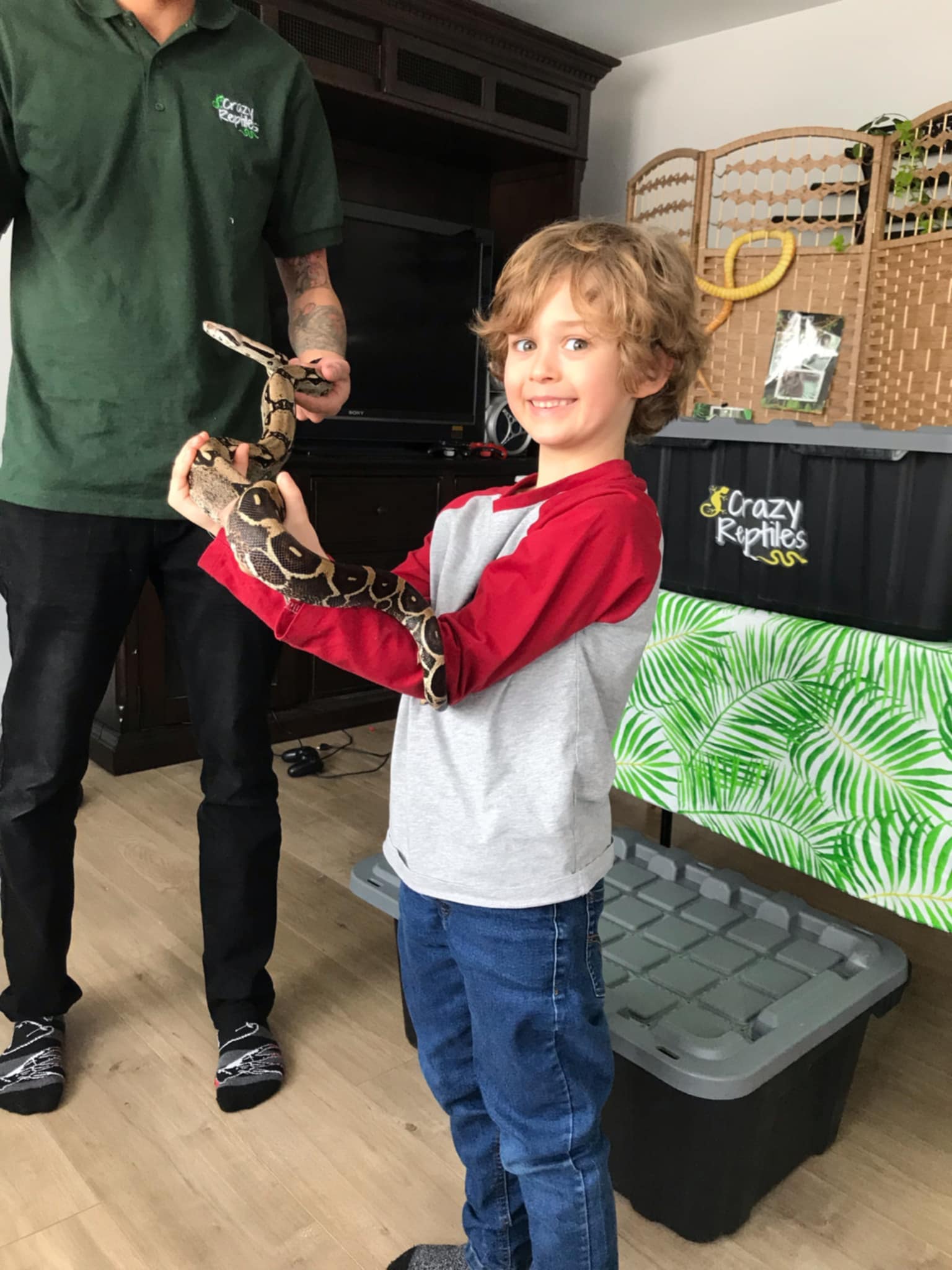 Crazy Reptiles Mauricie en tournée Crazy Reptiles Mauricie - Refuge animalier