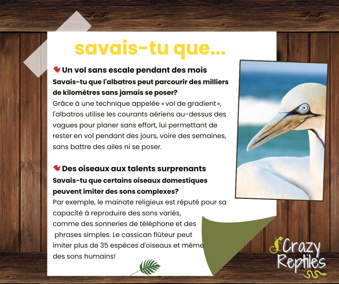 Affiche savais-tu que Crazy Reptiles-oiseaux Crazy Reptiles Mauricie - Refuge animalier