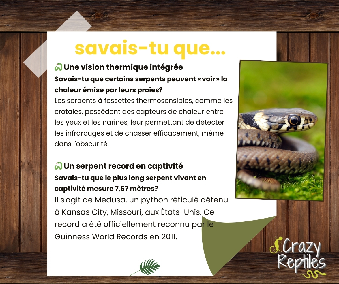 Crazy Reptiles Mauricie - Refuge animalier