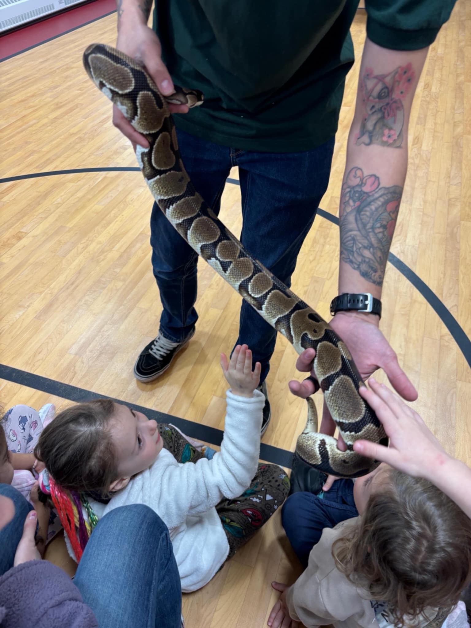 Crazy Reptiles Mauricie en tournée Crazy Reptiles Mauricie - Refuge animalier