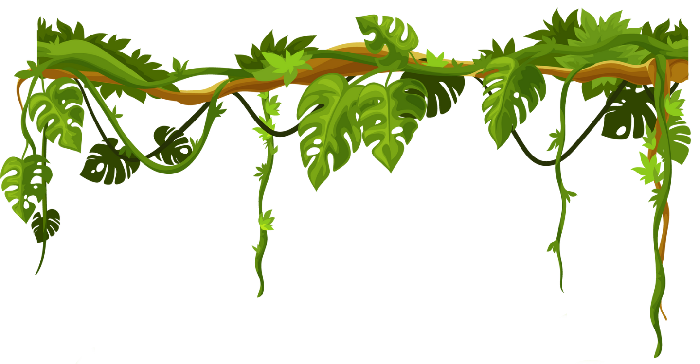 feuilles-separateur Crazy Reptiles Mauricie - Refuge animalier