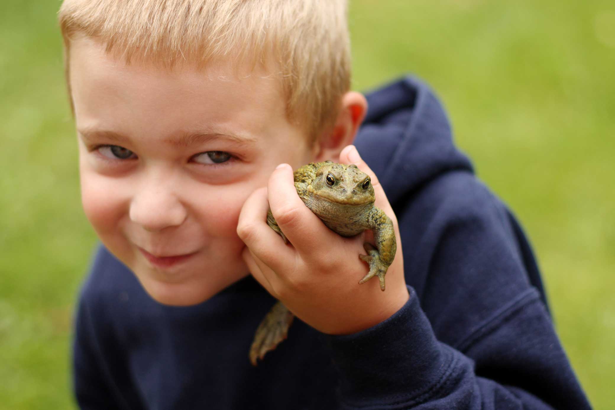 garderie Crazy Reptiles Mauricie - Refuge animalier