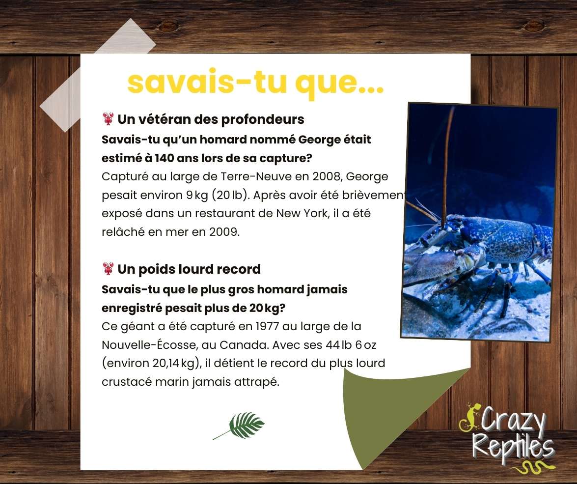 Crazy Reptiles Mauricie - Refuge animalier